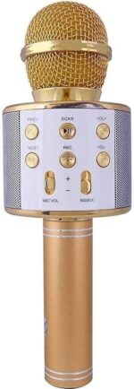 WS-858 Wireless Karaoke Microphone and Hi-Fi speaker with Free gift - Image 2